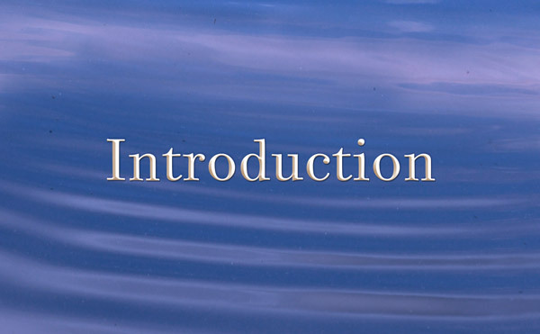 Introduction
