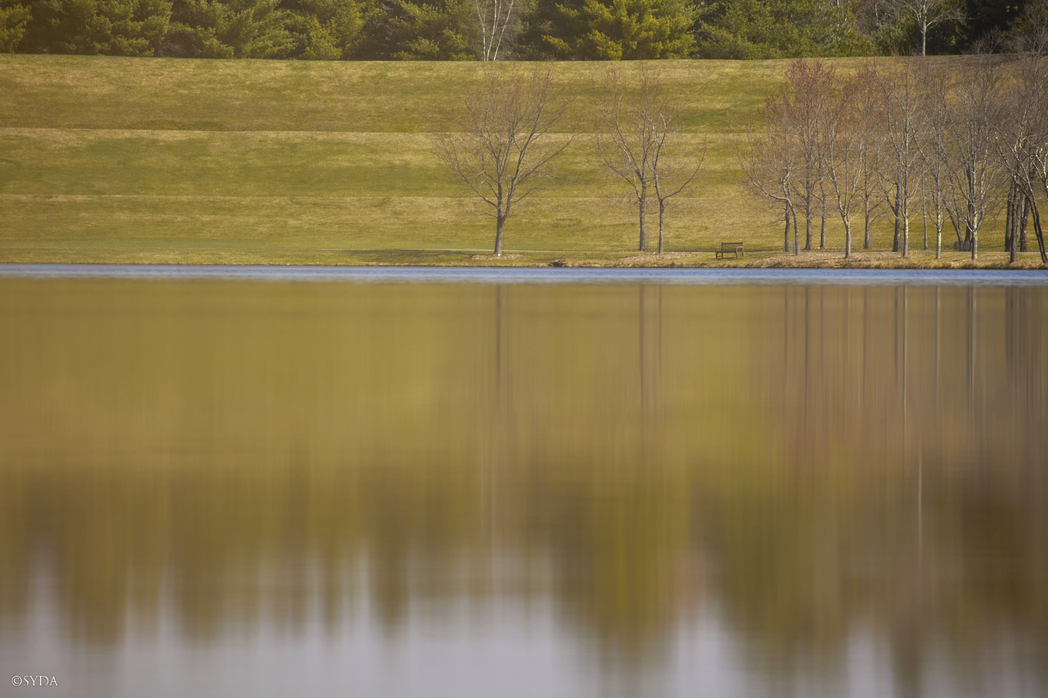 Nature Image
