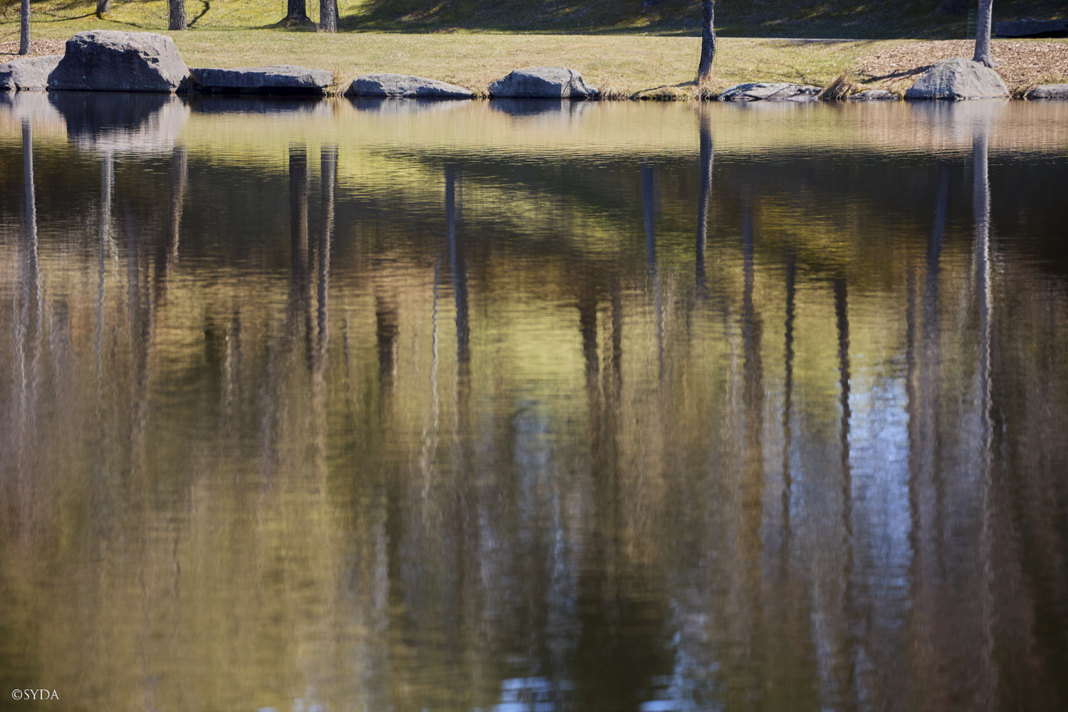 Nature Image