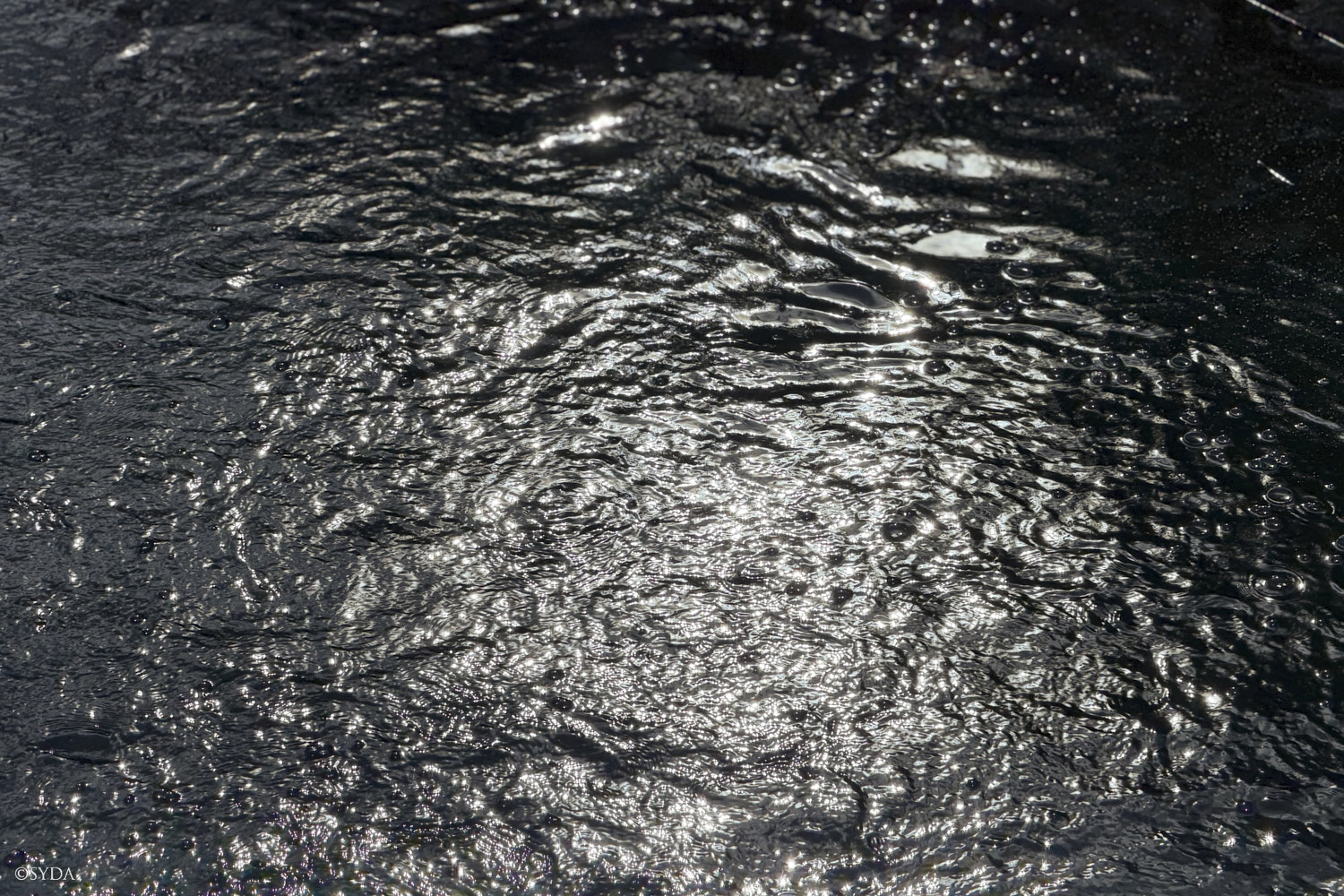 Nature Image