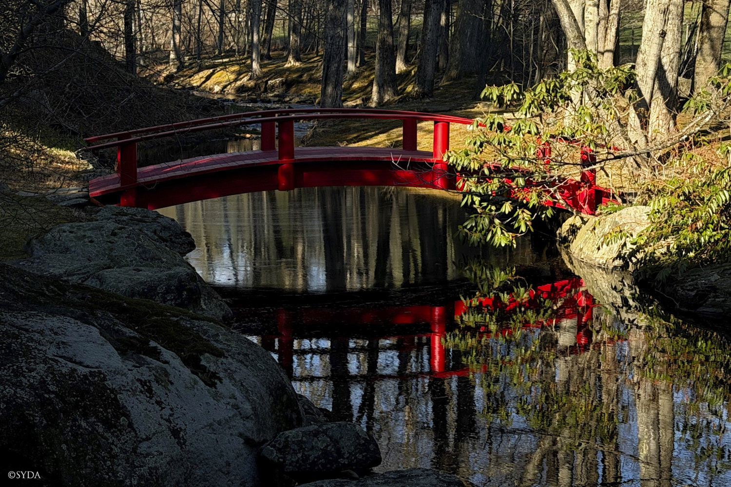 Nature Image