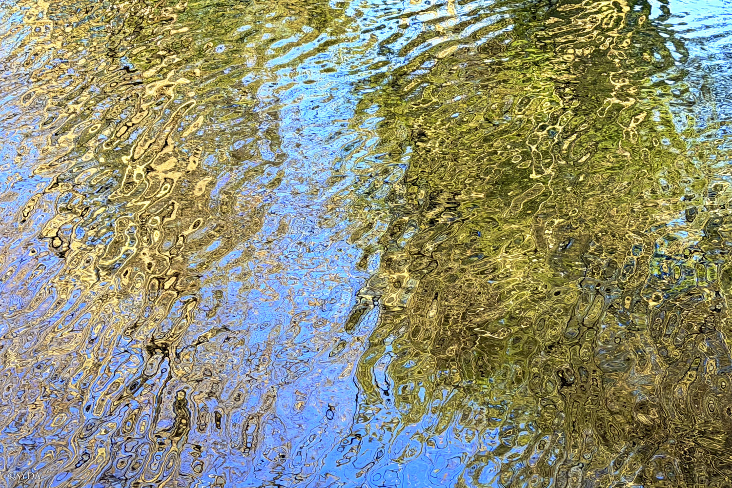 Nature Image