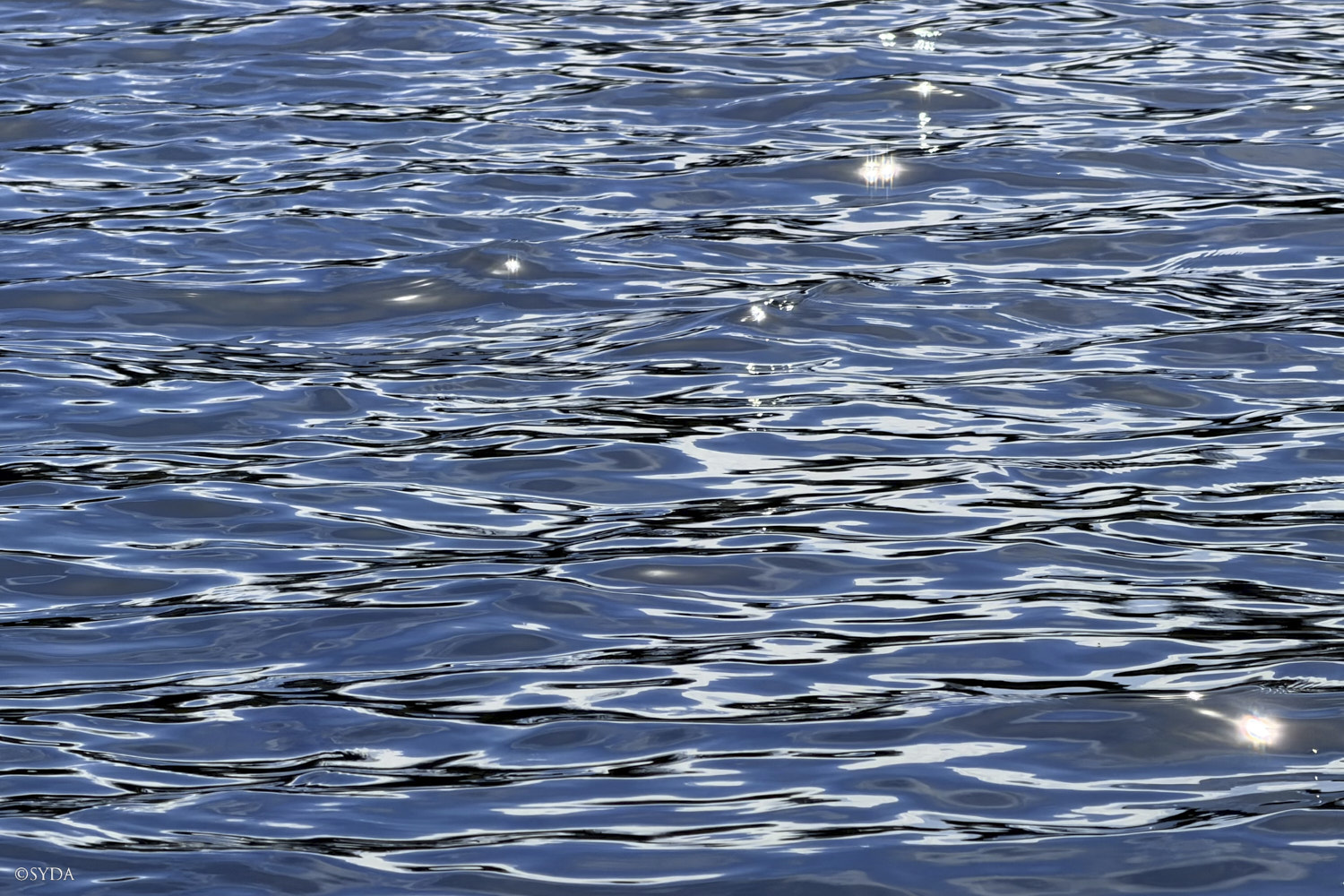 Nature Image