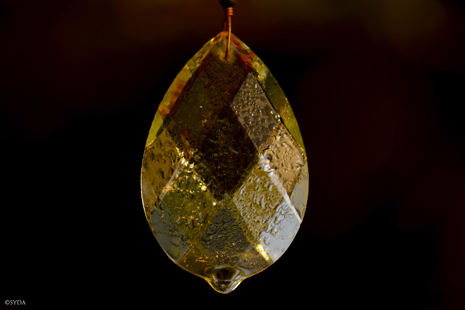 Nature Image