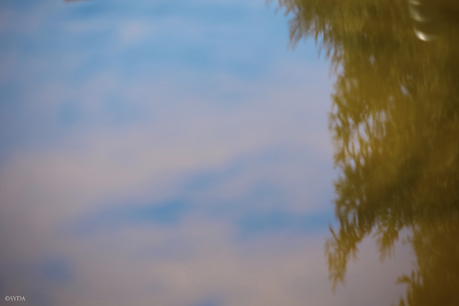 Nature Image
