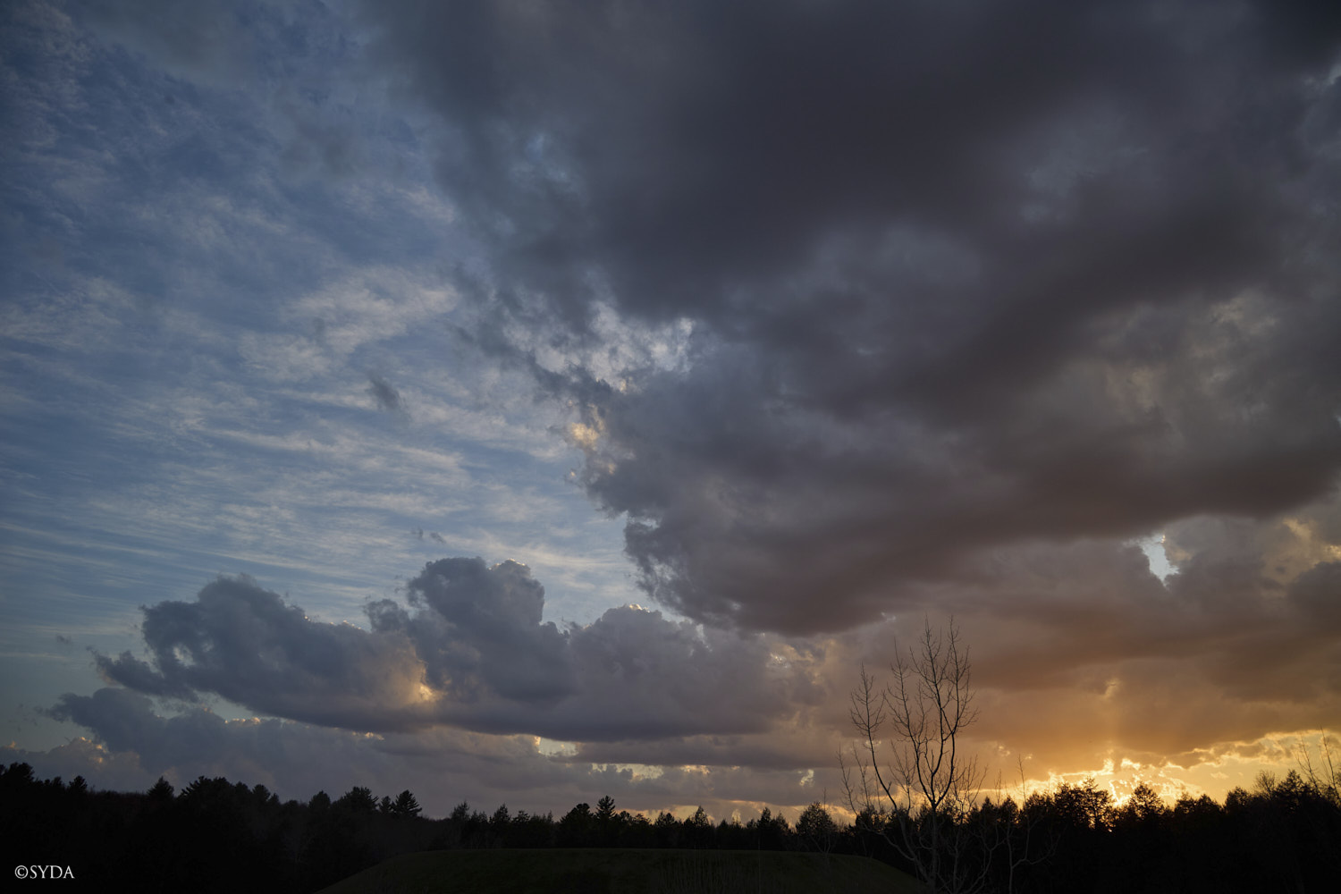 Nature Image