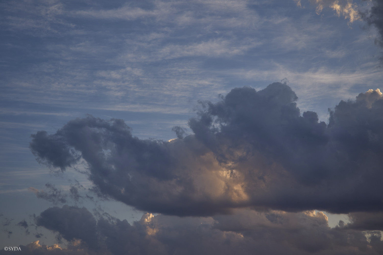 Nature Image