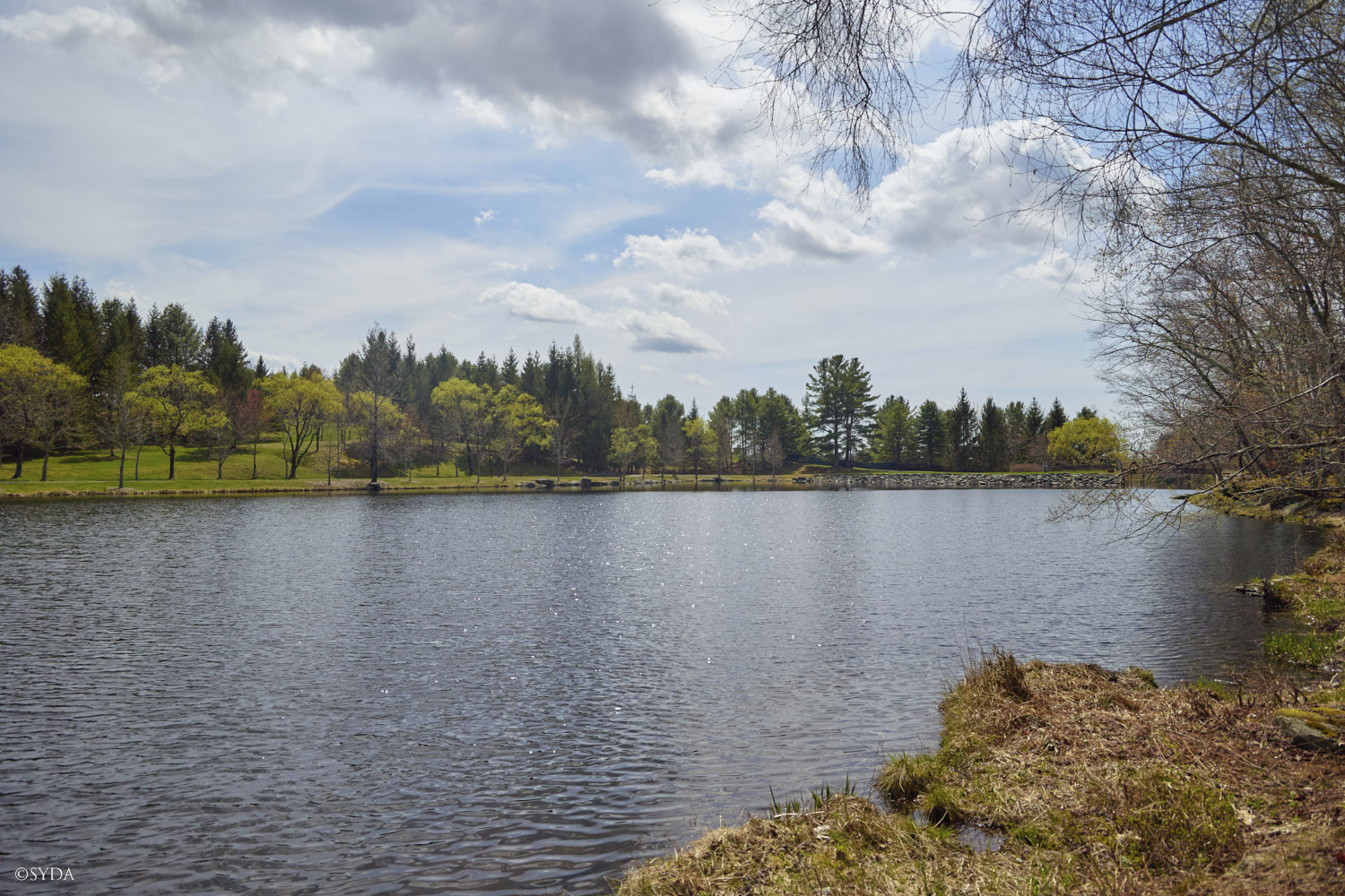 Nature Image