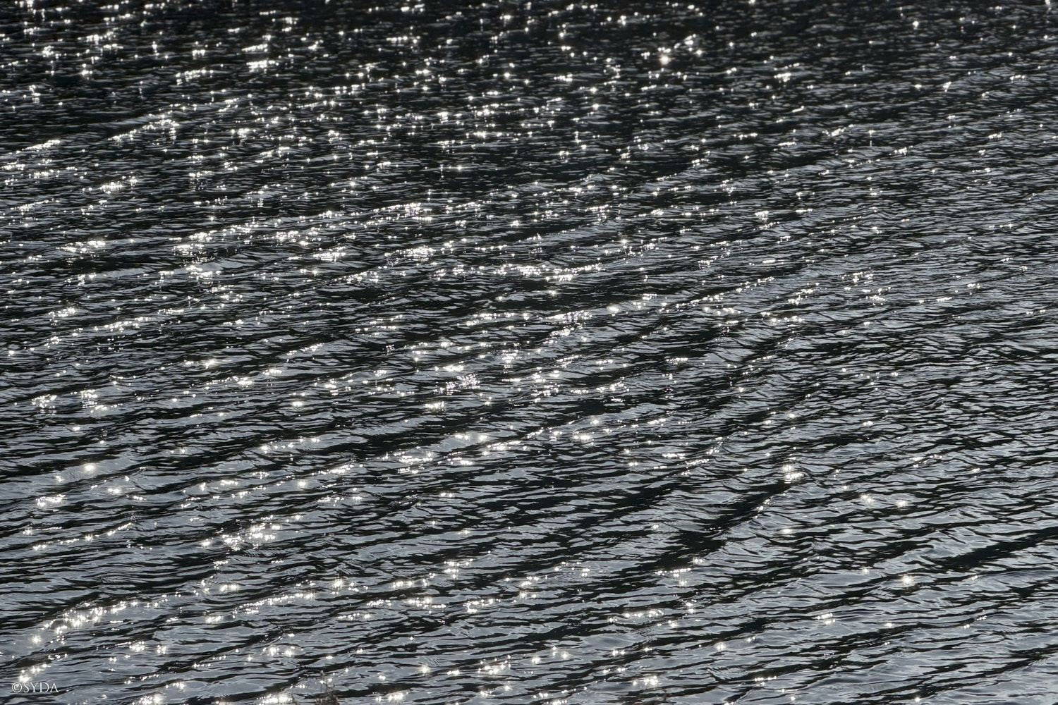 Nature Image