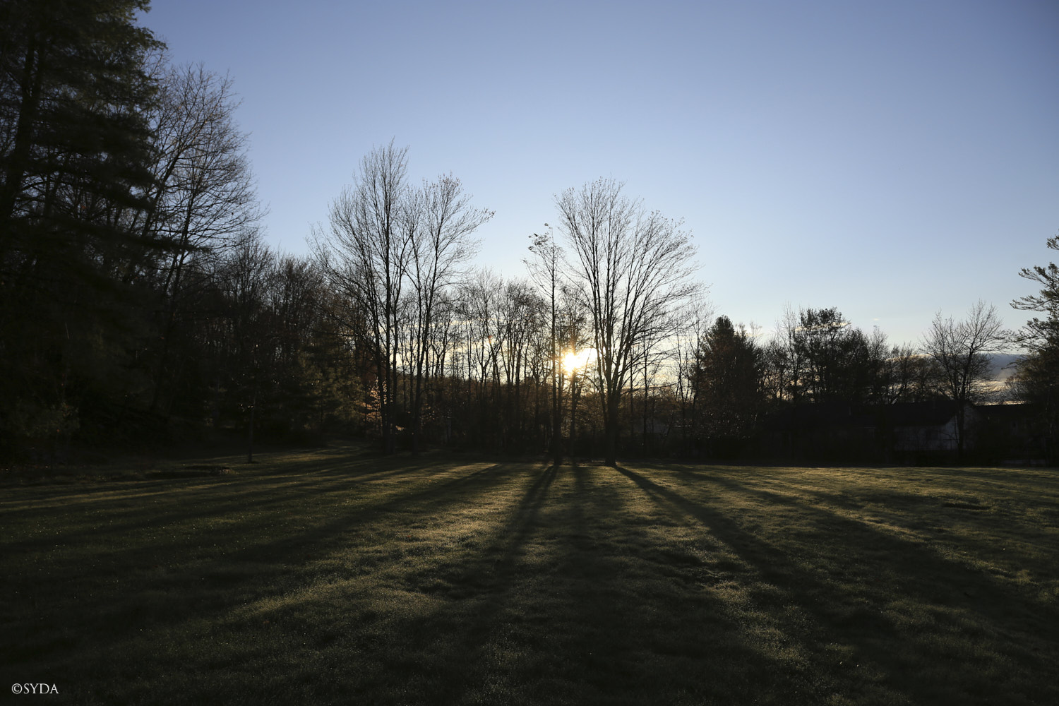 Nature Image