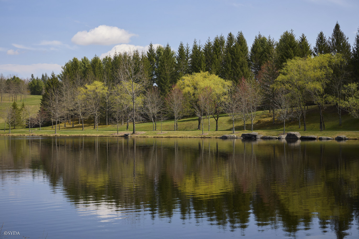 Nature Image