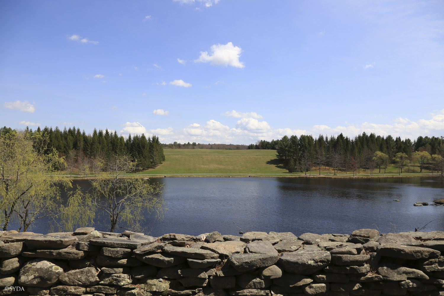 Nature Image