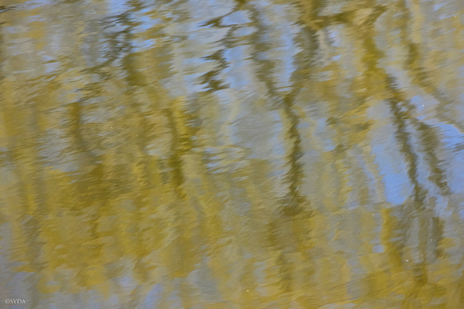 Nature Image