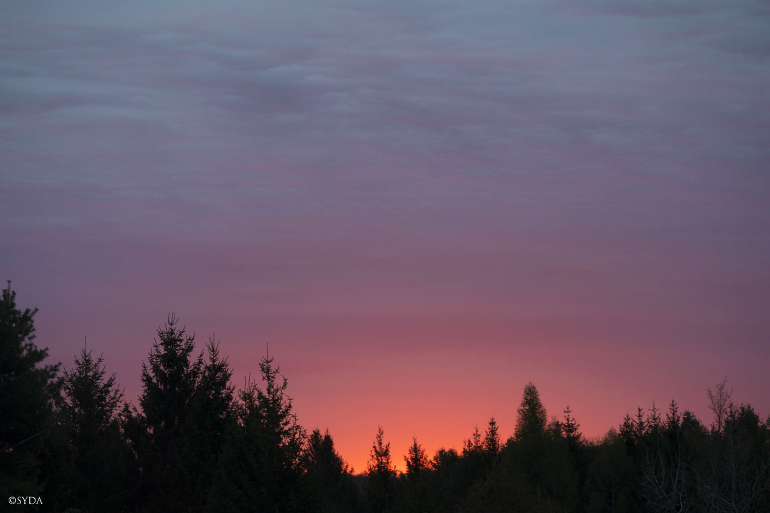 Nature Image