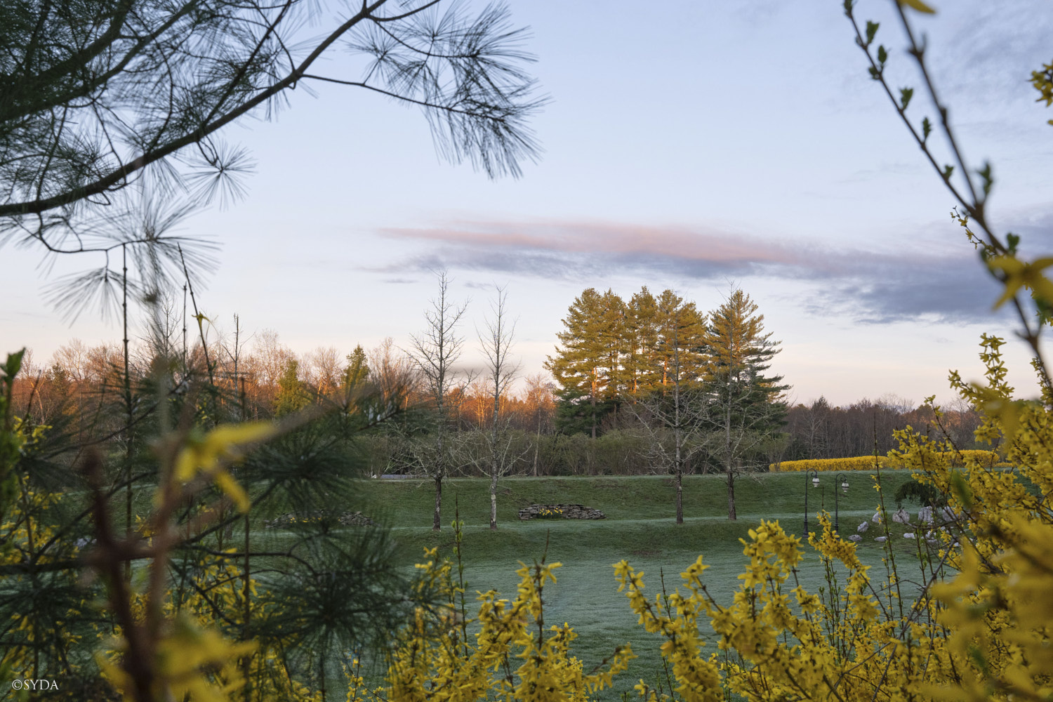 Nature Image