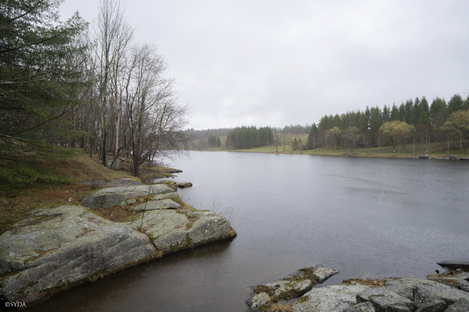 Nature Image