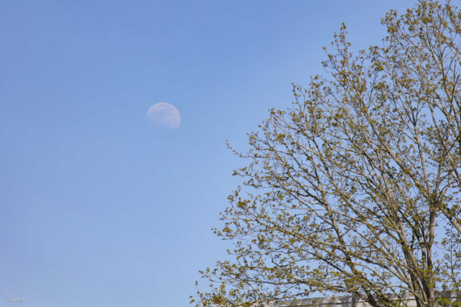 Nature Image