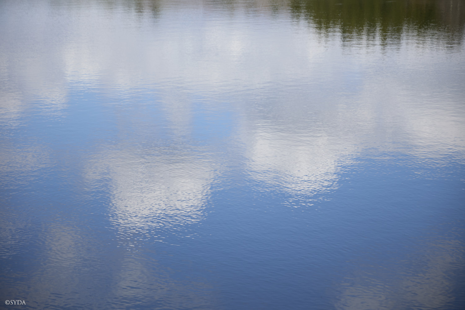 Nature Image
