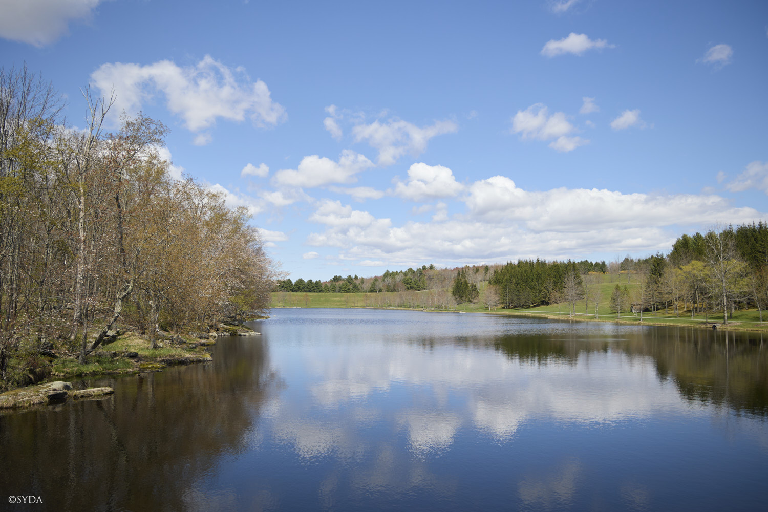 Nature Image