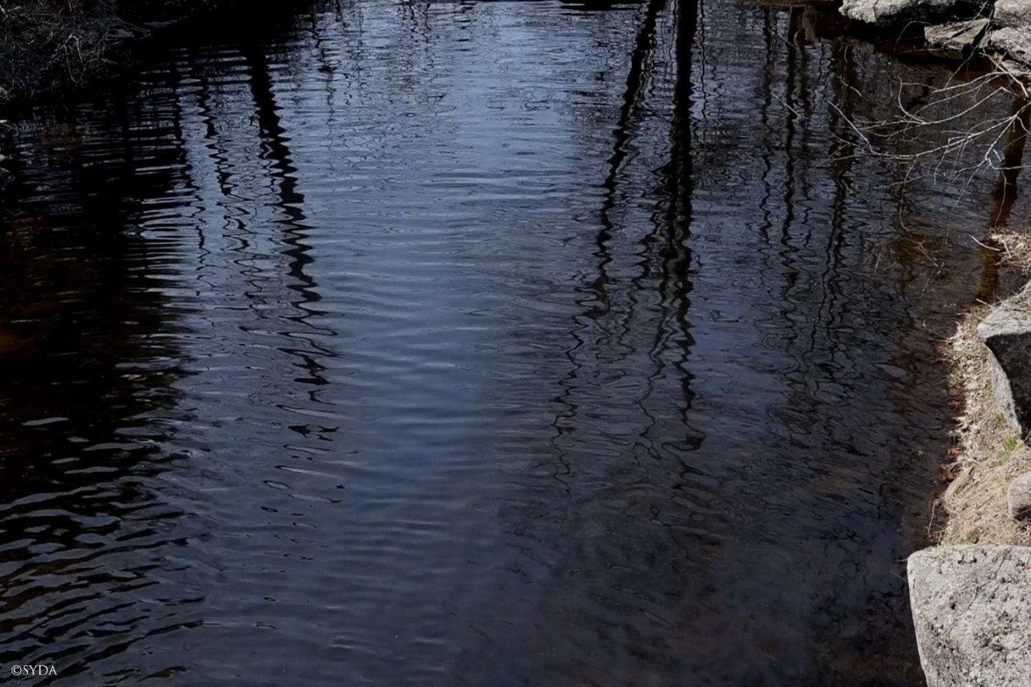 Nature Image
