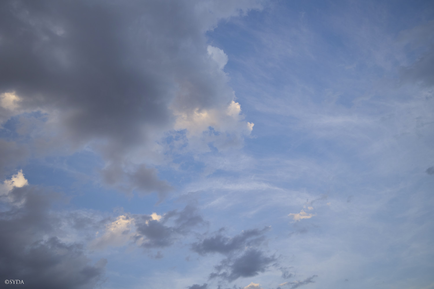 Nature Image