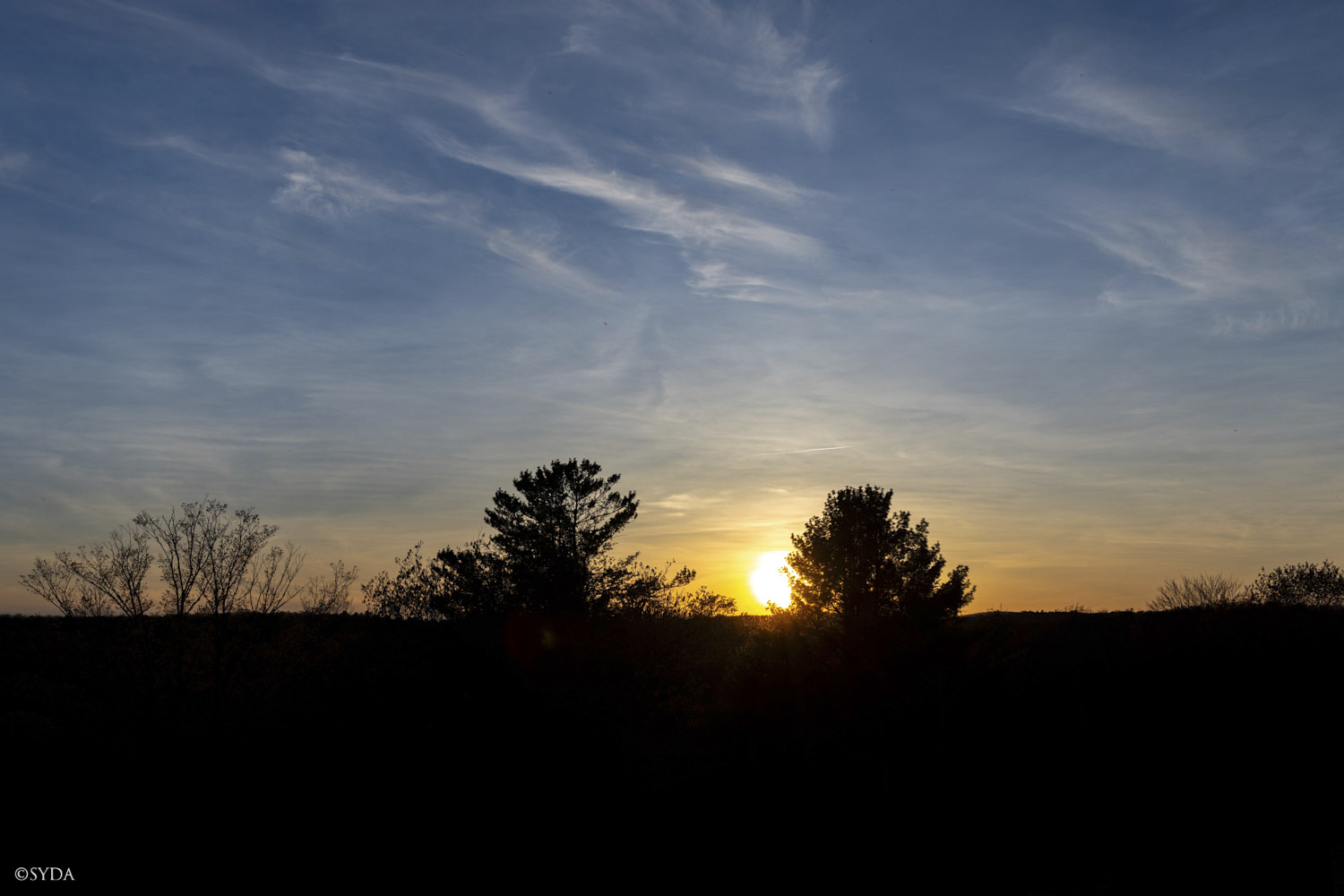 Nature Image