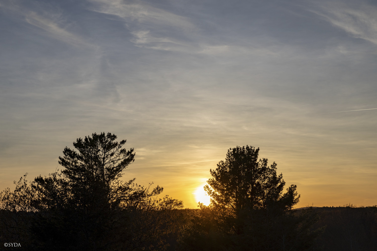 Nature Image