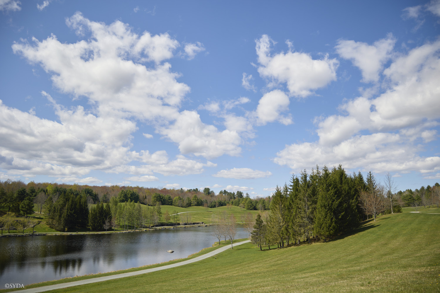 Nature Image