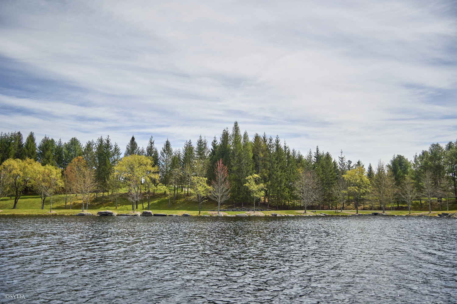 Nature Image