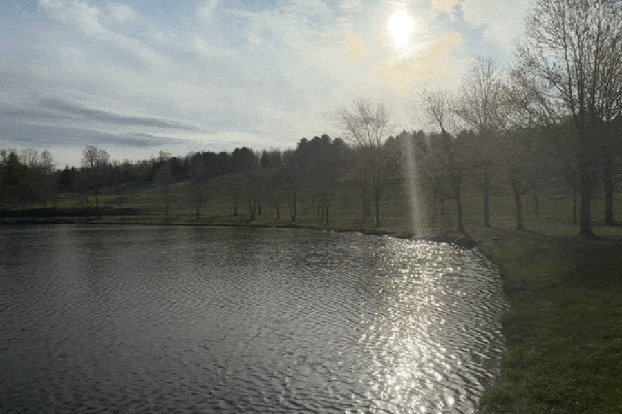 Nature Image