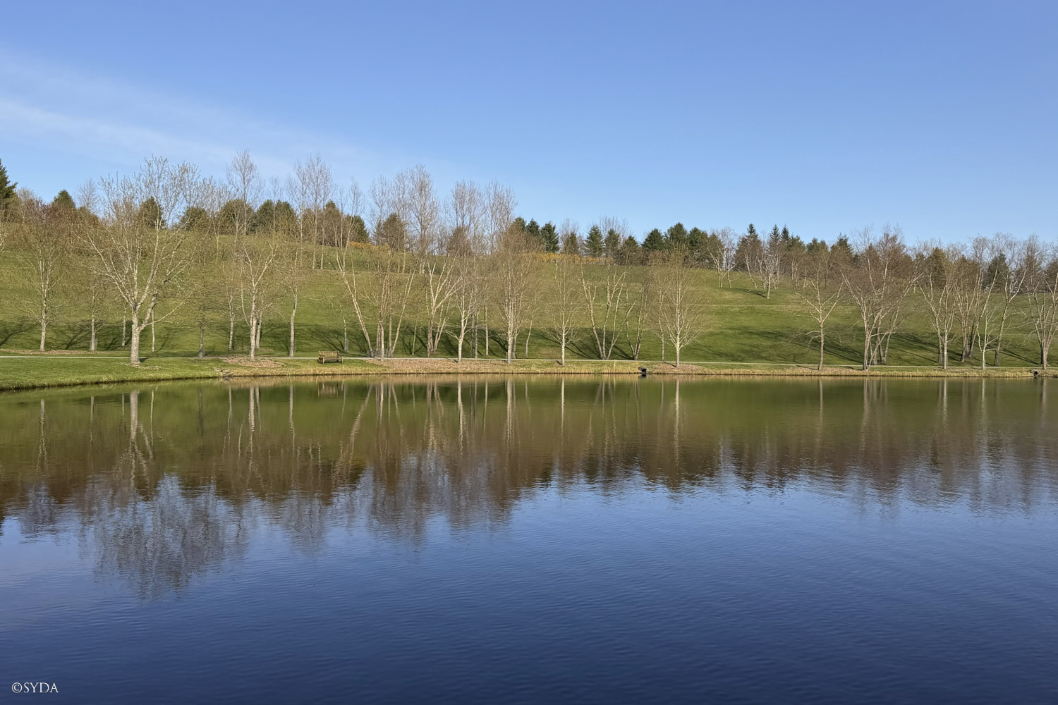 Nature Image