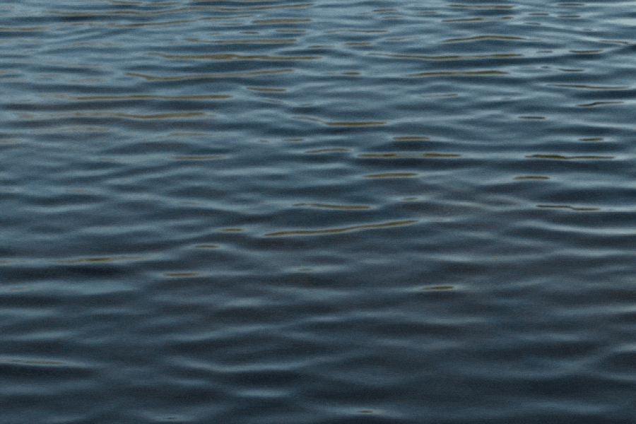 Nature Image