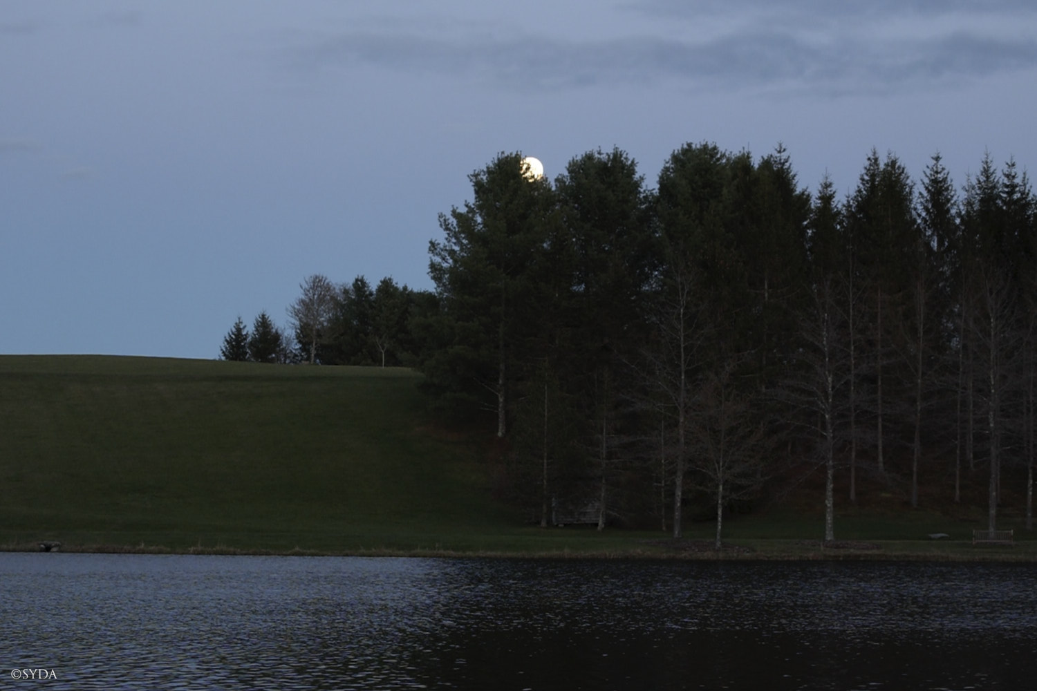 Nature Image