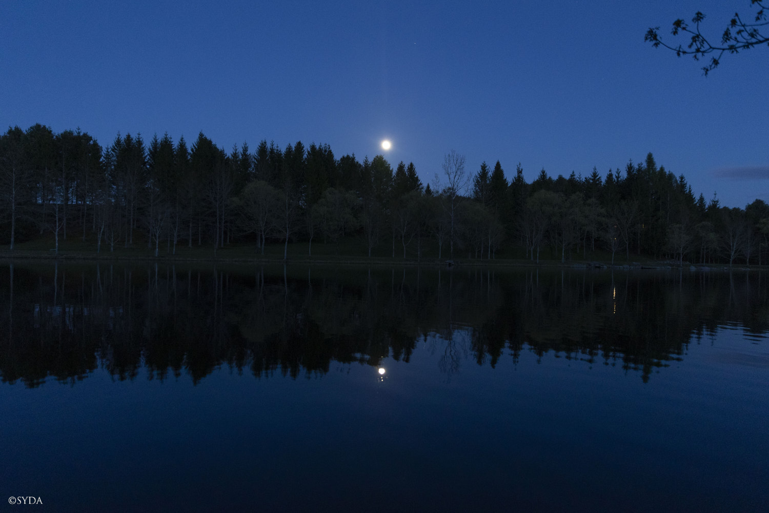 Nature Image