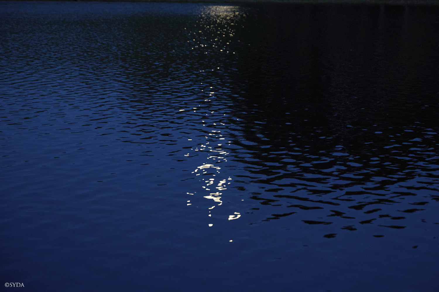 Nature Image