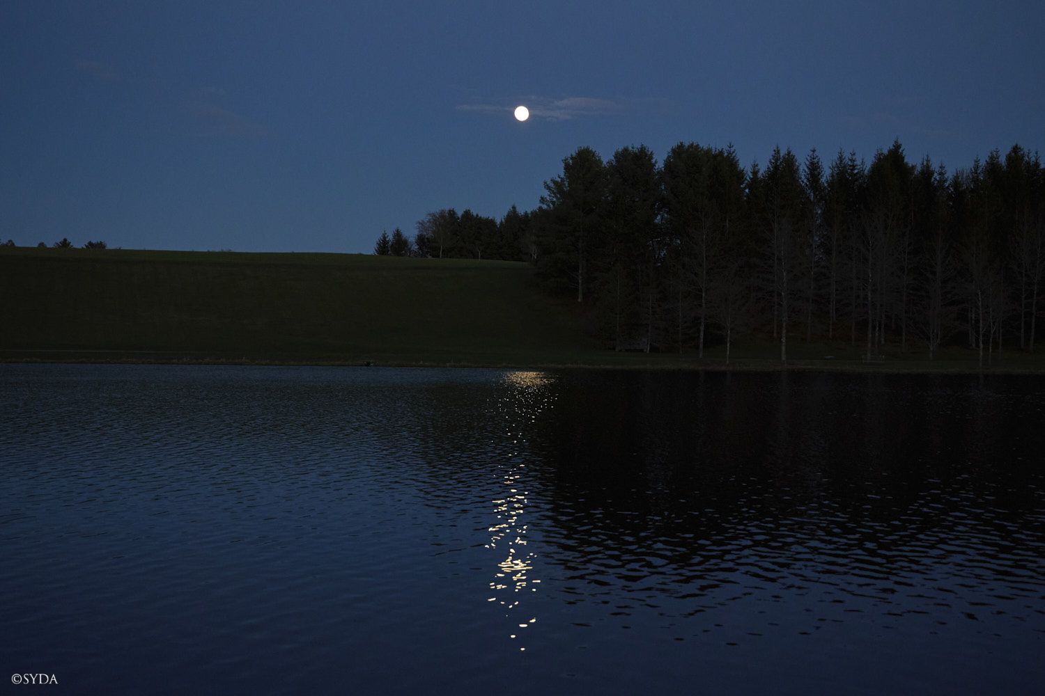 Nature Image
