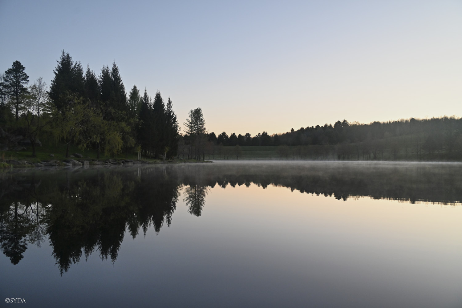 Nature Image