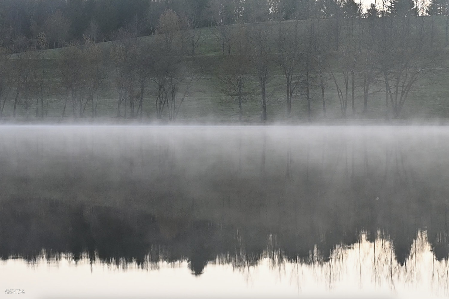 Nature Image