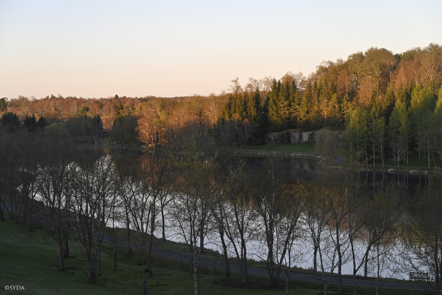 Nature Image
