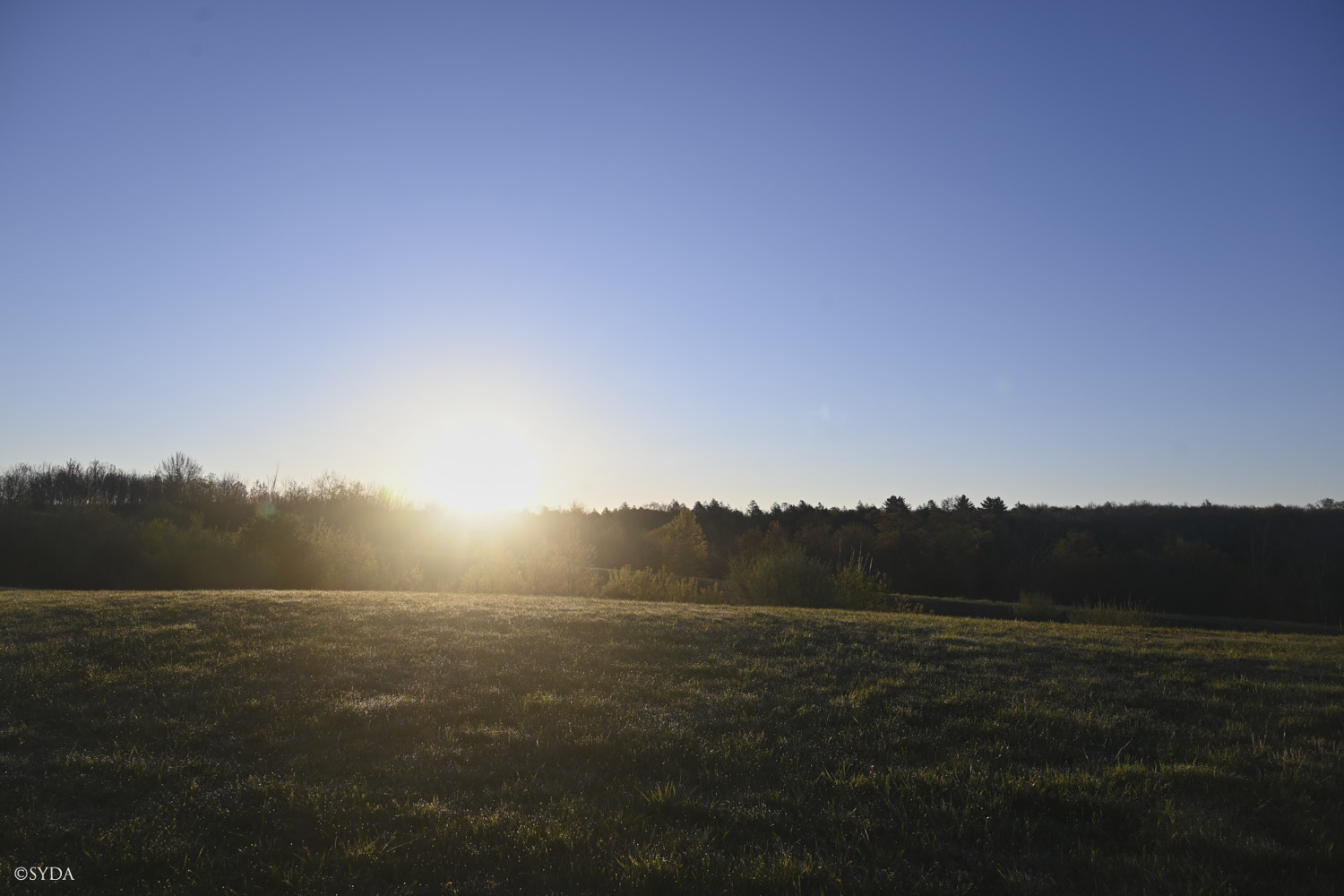 Nature Image