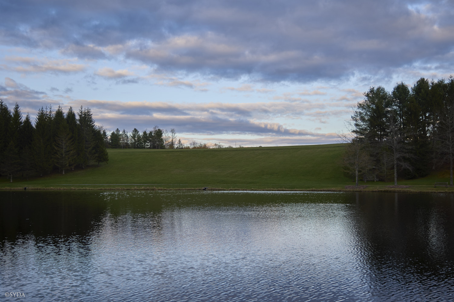 Nature Image