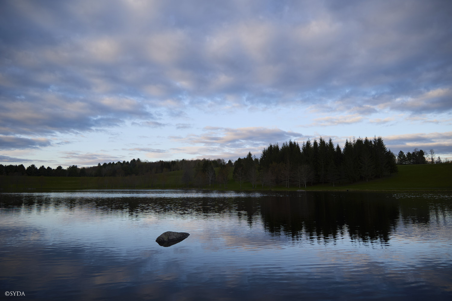 Nature Image