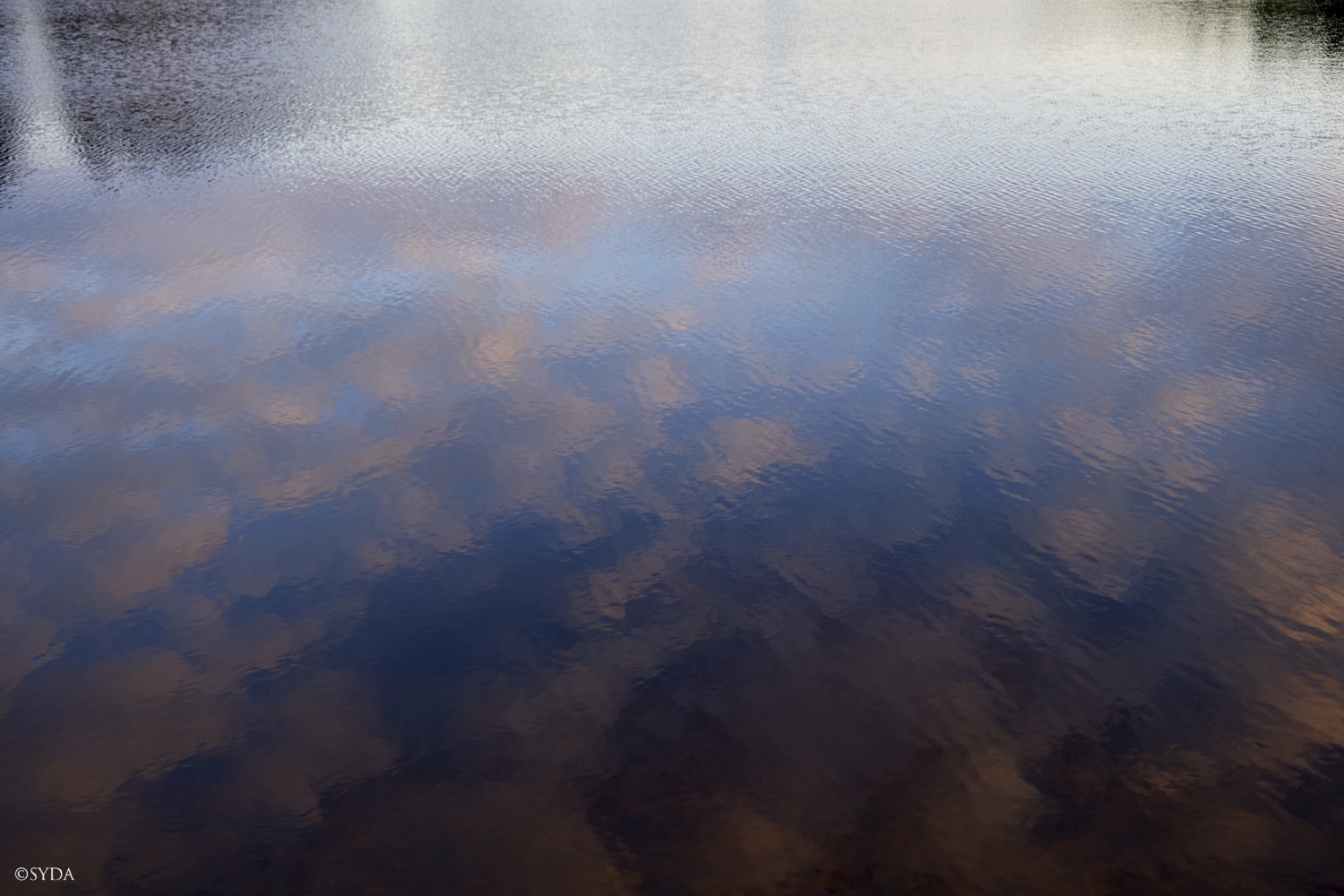Nature Image