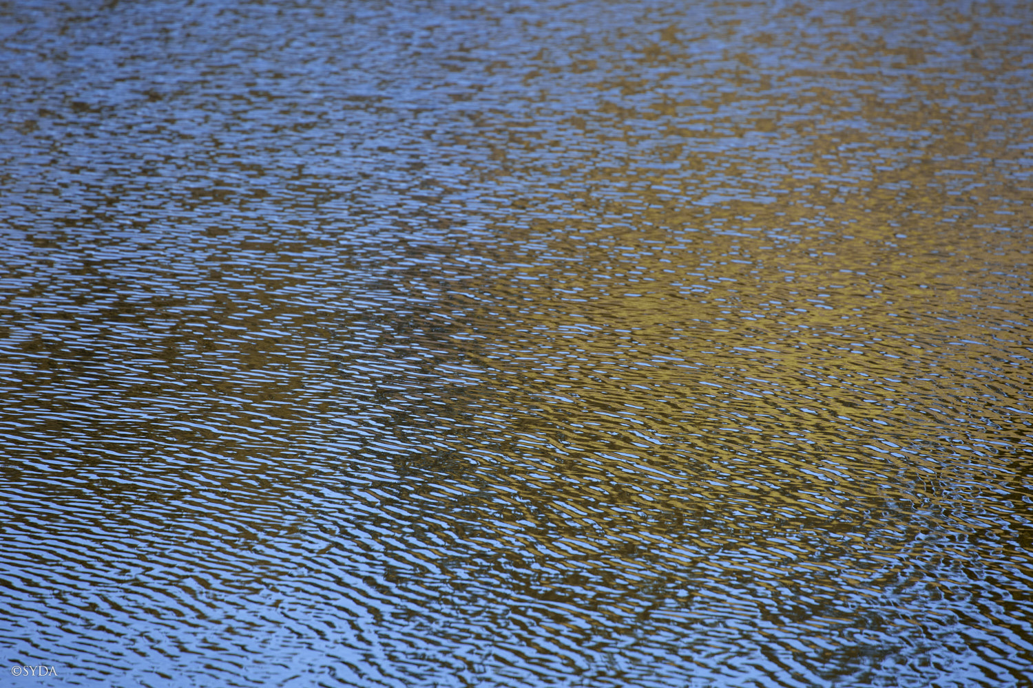 Nature Image