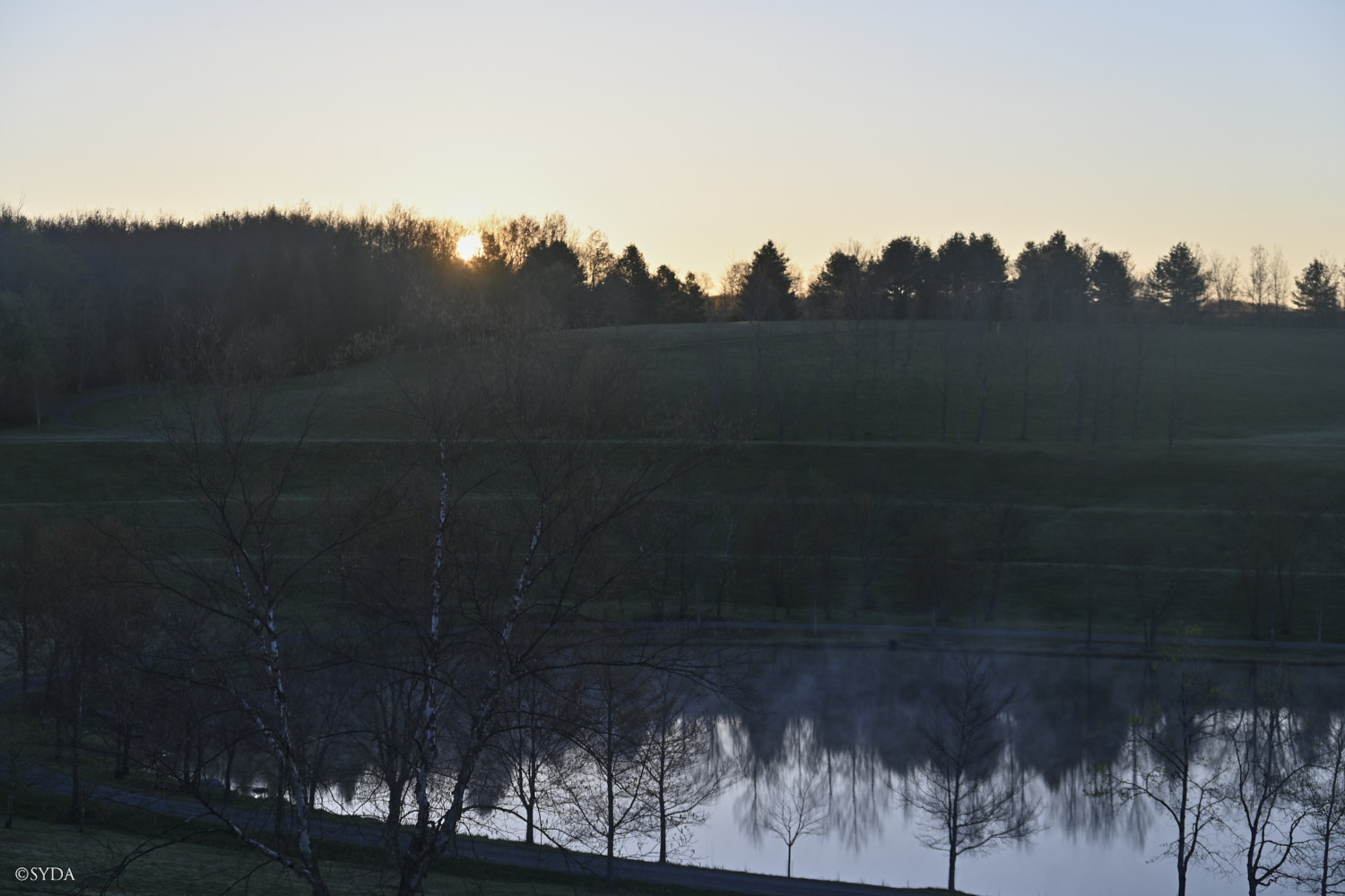 Nature Image