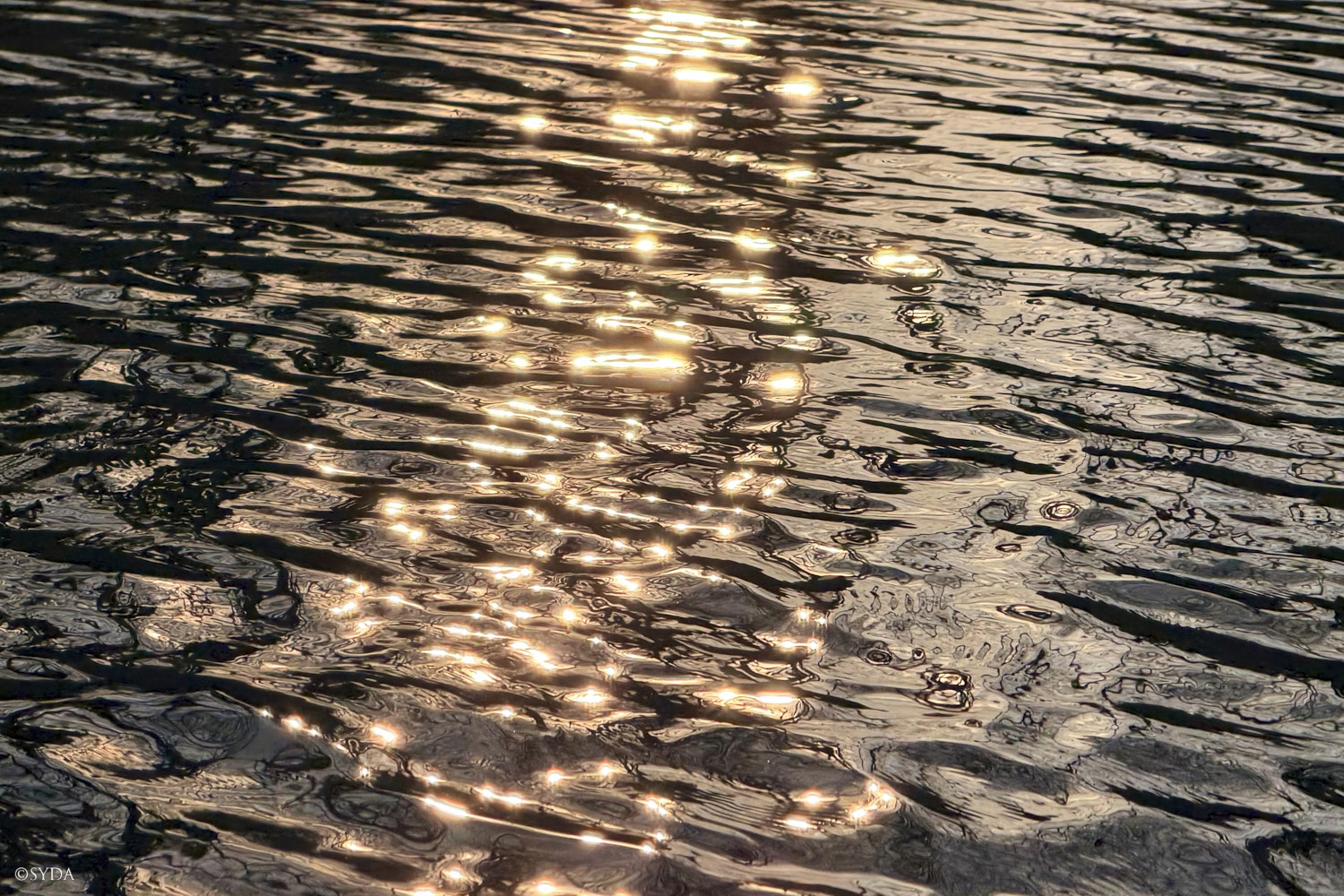 Nature Image