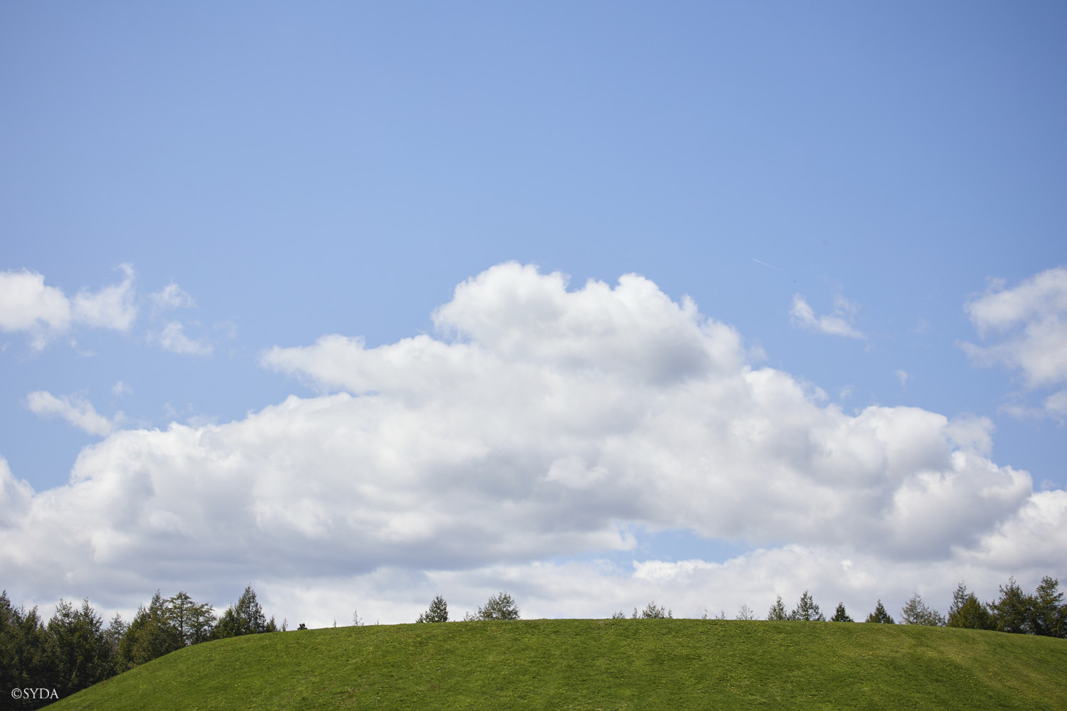 Nature Image