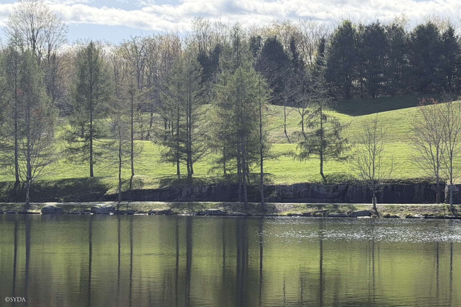 Nature Image