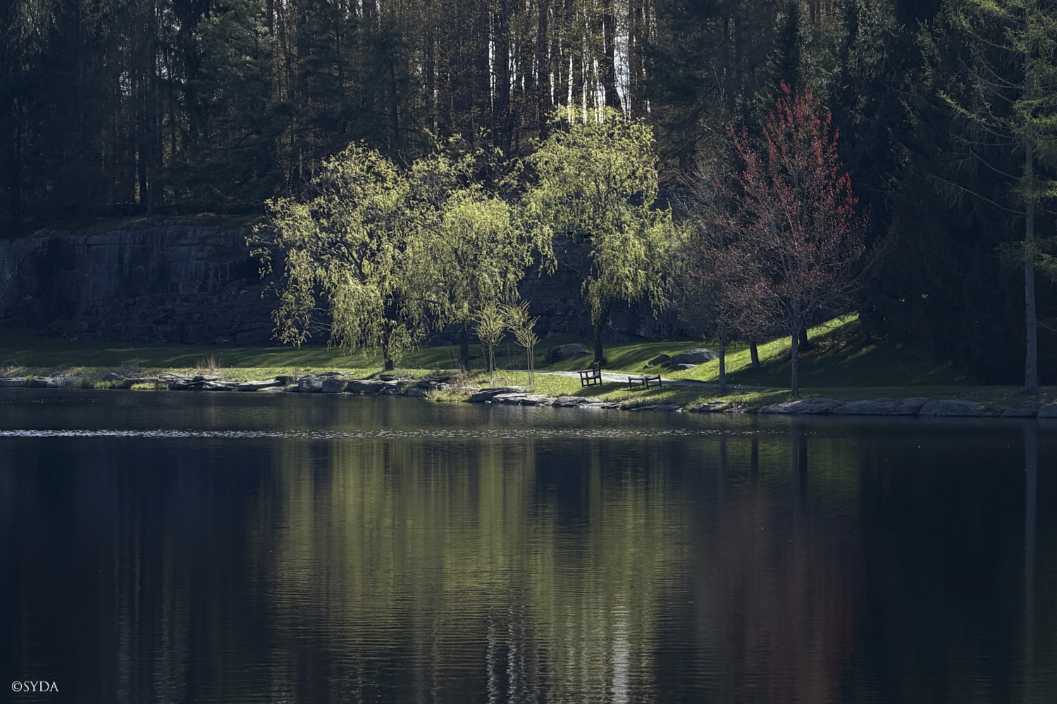 Nature Image