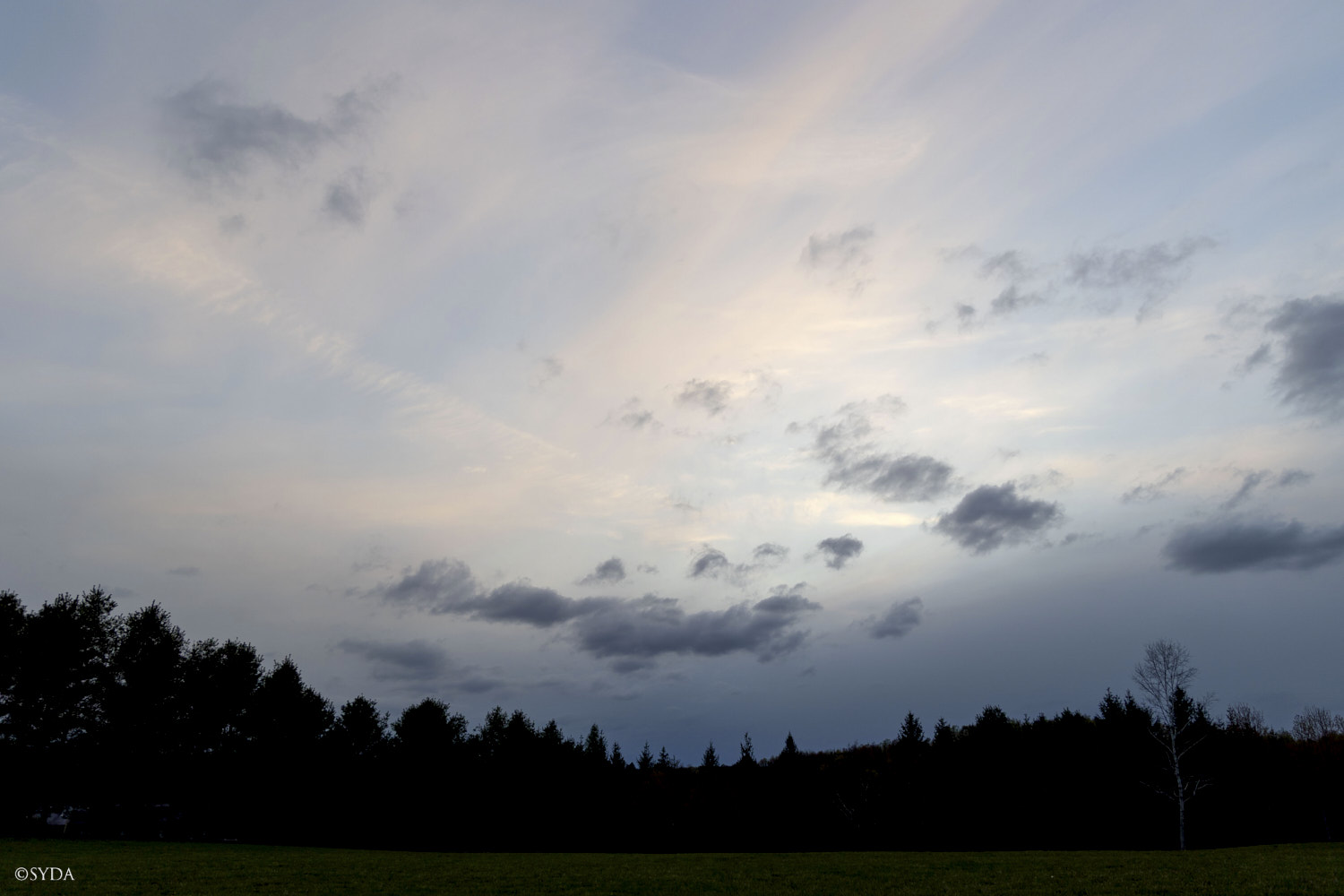 Nature Image